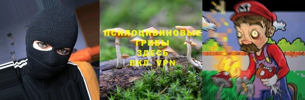 первитин Няндома