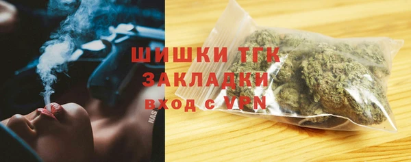 первитин Няндома