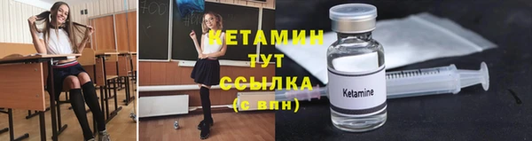 молекула духа Вяземский