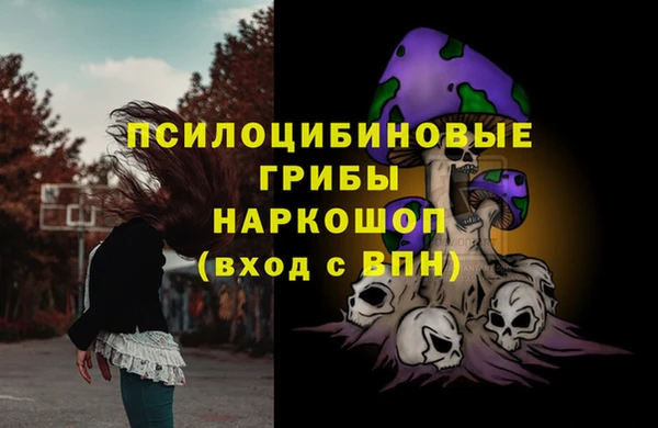 первитин Няндома