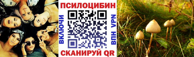 дарнет шоп  Покачи  Галлюциногенные грибы Magic Shrooms 